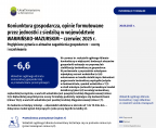 Koniunktura gospodarcza w województwie warmińsko-mazurskim w czerwcu 2025 r. Foto