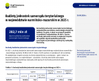 Budżety jednostek samorządu terytorialnego w województwie warmińsko-mazurskim w 2025 r. Foto