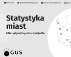 Statystyka Olsztyna Foto