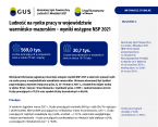 Ludność na rynku pracy w województwie warmińsko-mazurskim – wyniki wstępne NSP 2021 Foto